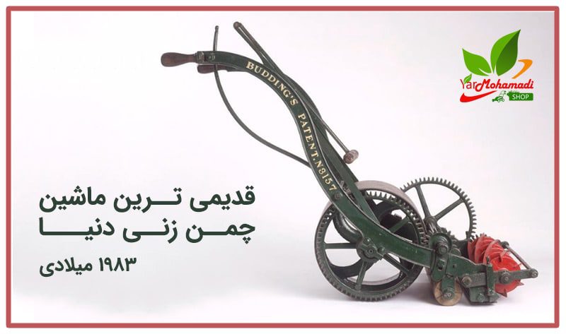 قدیمی ترین چمن زن دنیا