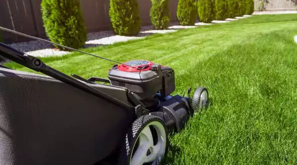 تعمیر چمن زن تعمیر چمن زن