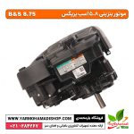 موتور بنزینی شافت عمودی بریگس B&S 8.75 - Image 4