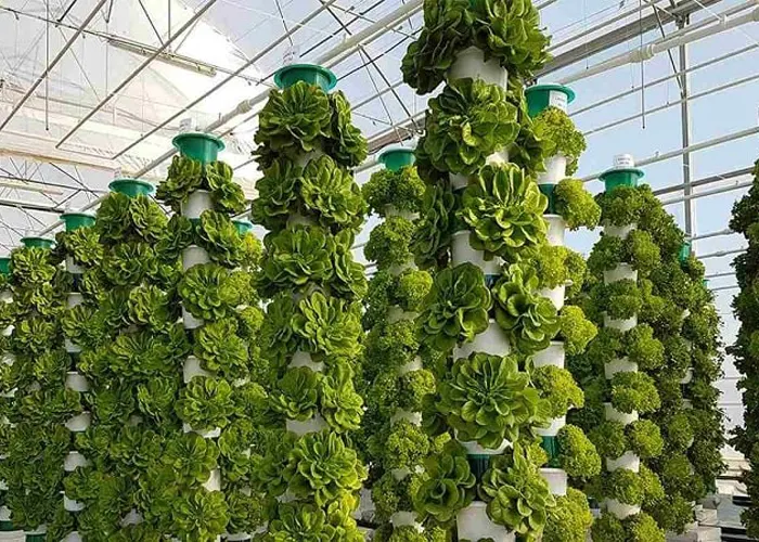 مزایای کشاورزی عمودی