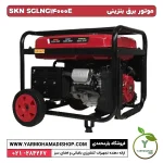 ژنراتور بنزینی استارتی SKN SGLNG14000E